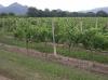 PB Valley winery 43.jpg 2.3K